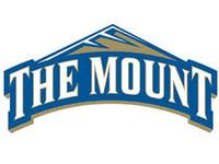 Mount St. Mary's University Logo