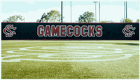 University of South Carolina Logo